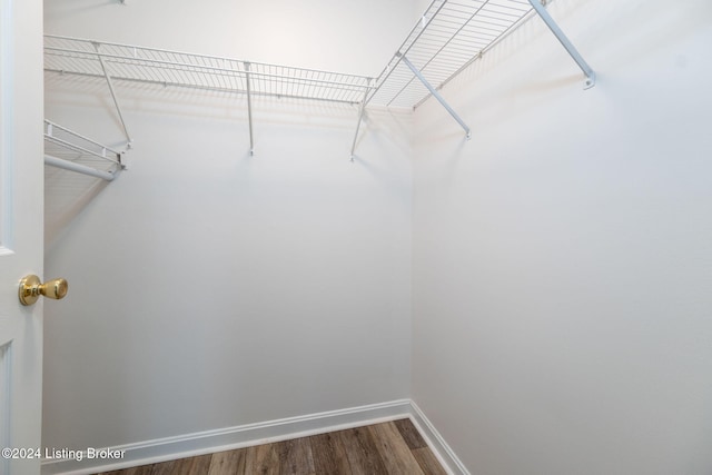 walk in closet with hardwood / wood-style flooring