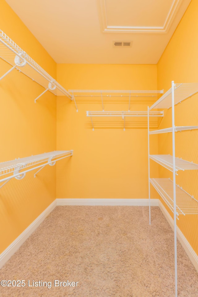 spacious closet featuring carpet flooring