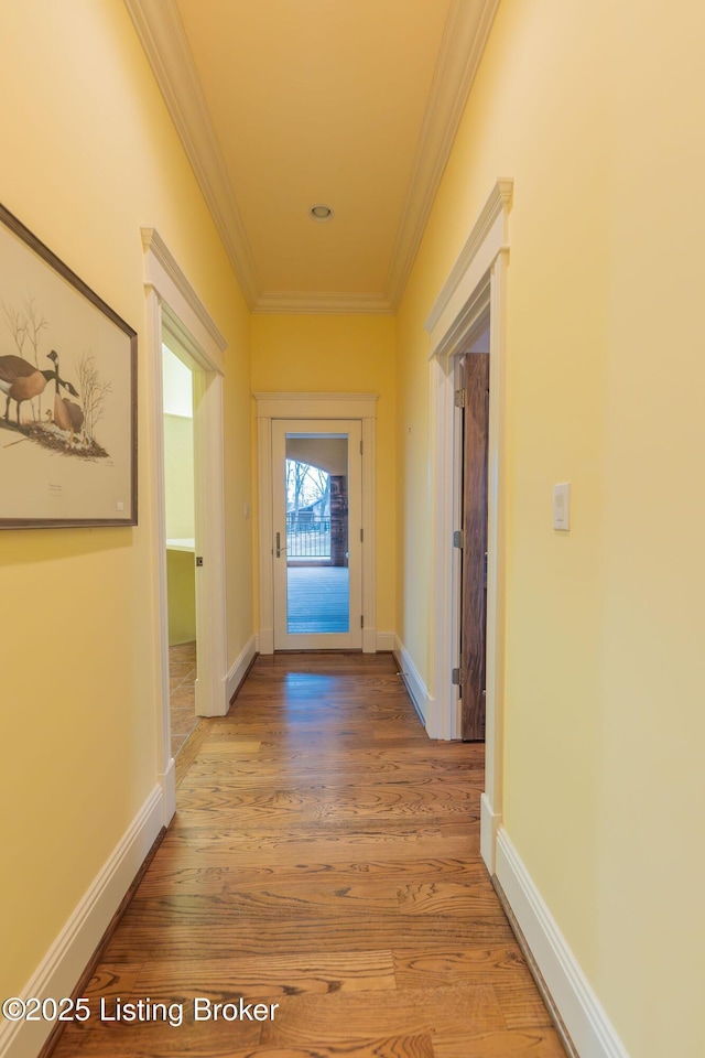 hallway with crown molding and light wood-type flooring