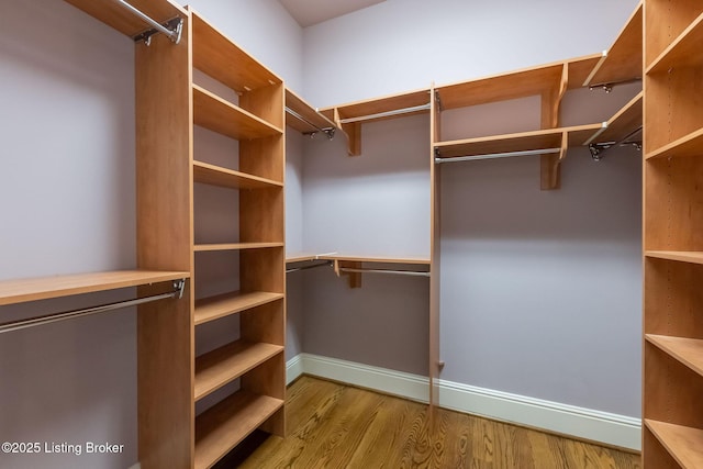 spacious closet featuring light hardwood / wood-style floors