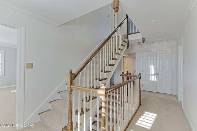 stairs featuring carpet flooring and ornamental molding