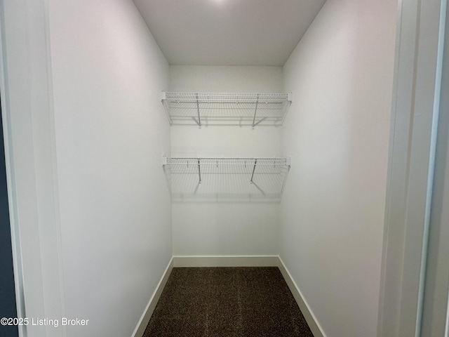 walk in closet featuring carpet