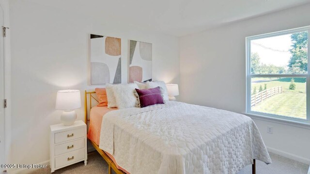 view of carpeted bedroom