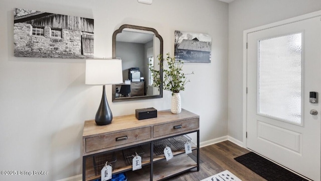 entrance foyer featuring dark hardwood / wood-style flooring