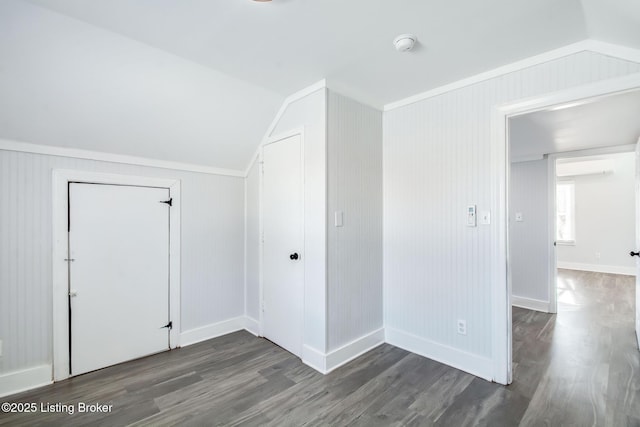 interior space featuring lofted ceiling and dark wood-type flooring