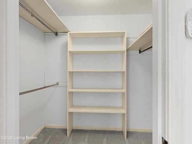 walk in closet featuring carpet floors