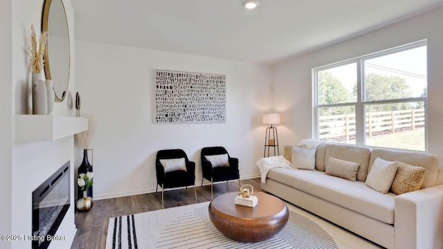 living room with dark hardwood / wood-style floors