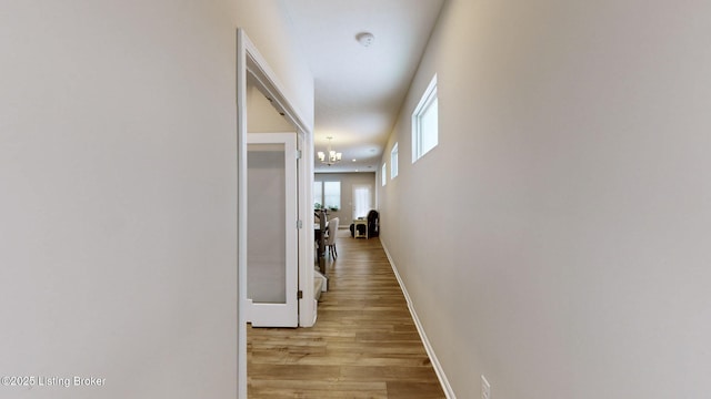 corridor with a chandelier and light hardwood / wood-style flooring