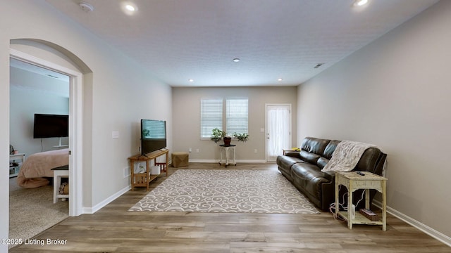 living room with wood-type flooring