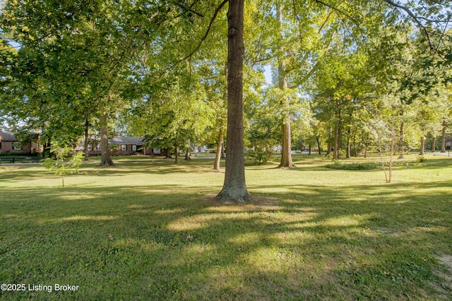 view of yard