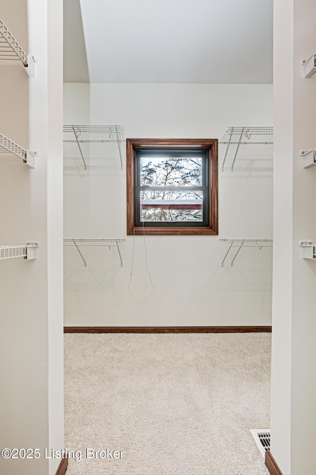 walk in closet featuring carpet