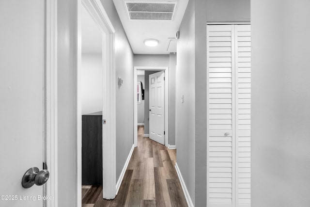 hallway featuring dark wood-type flooring