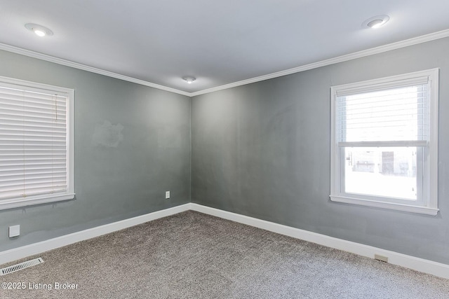 spare room with crown molding and carpet flooring