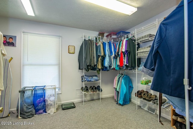 walk in closet featuring carpet flooring