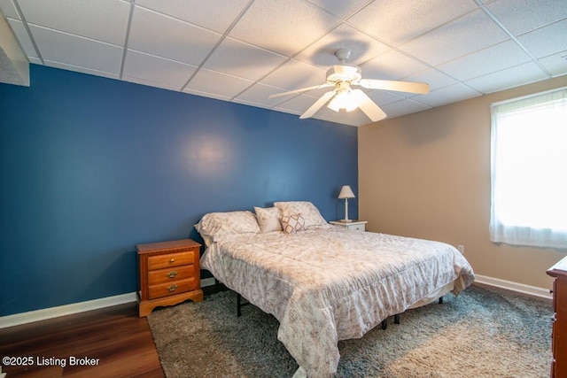 bedroom with ceiling fan, dark hardwood / wood-style flooring, multiple windows, and a drop ceiling