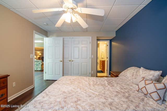 bedroom featuring a drop ceiling, a closet, ceiling fan, and dark hardwood / wood-style floors