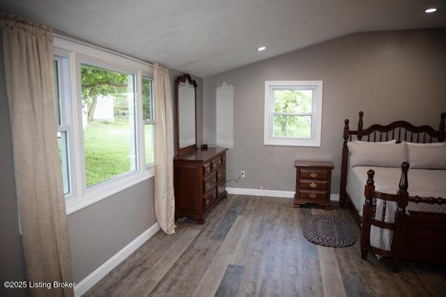 bedroom featuring lofted ceiling, light hardwood / wood-style flooring, and multiple windows