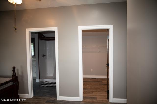 bedroom featuring a walk in closet, dark hardwood / wood-style flooring, and a closet