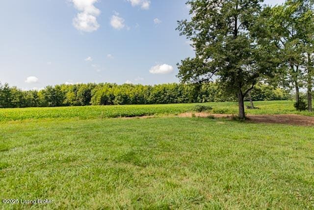 view of yard with a rural view