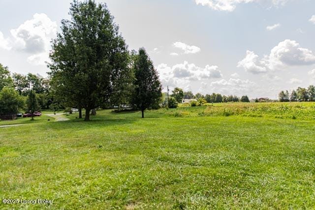 view of yard with a rural view