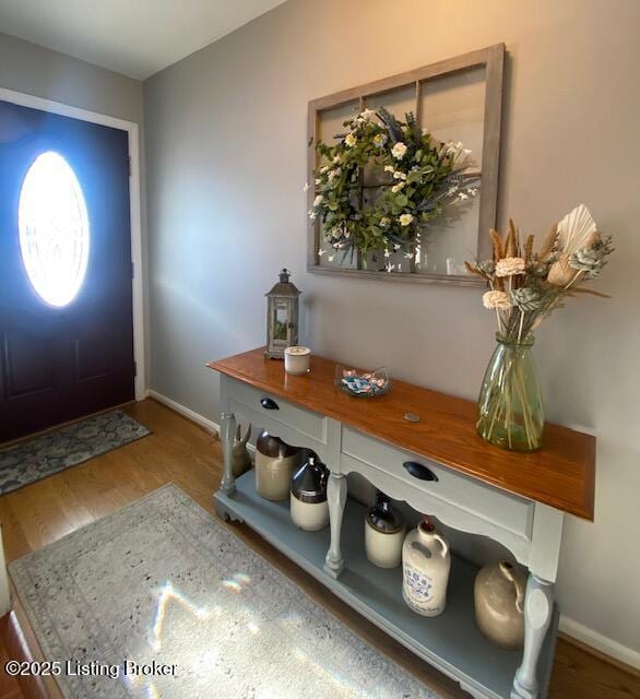 entrance foyer with hardwood / wood-style flooring