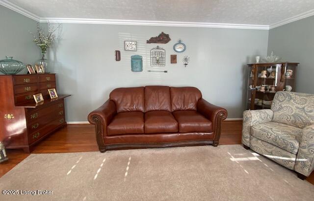 living room with ornamental molding, hardwood / wood-style floors, and a textured ceiling