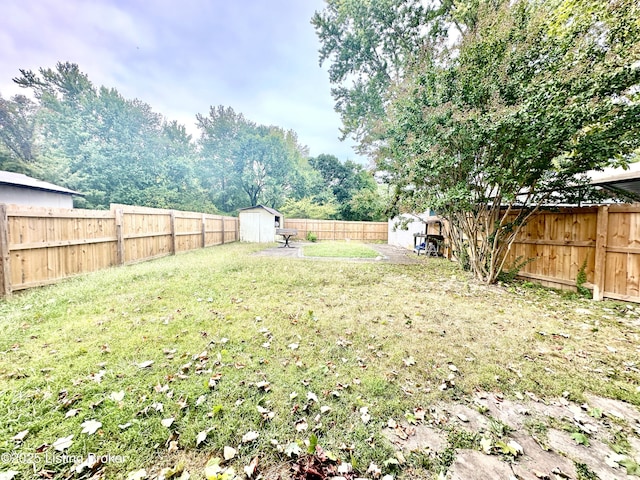 view of yard featuring a shed