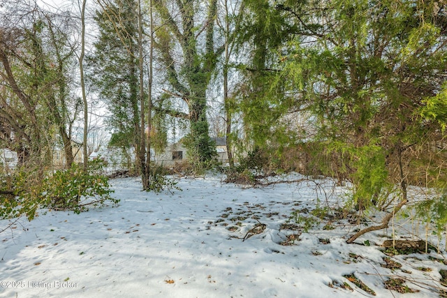 view of snowy landscape