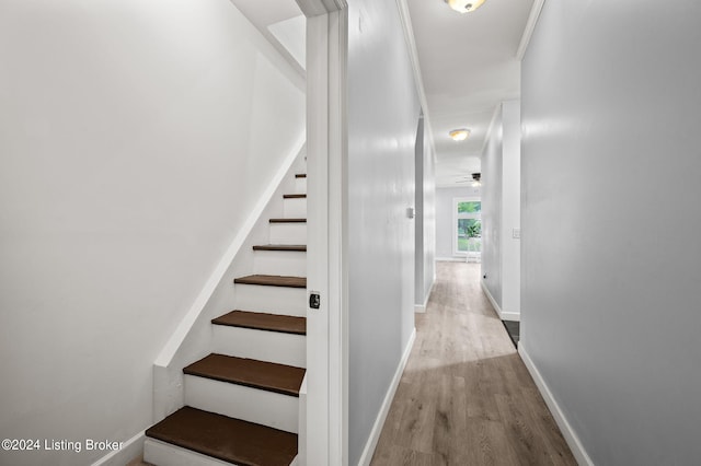 stairs featuring hardwood / wood-style flooring and ceiling fan