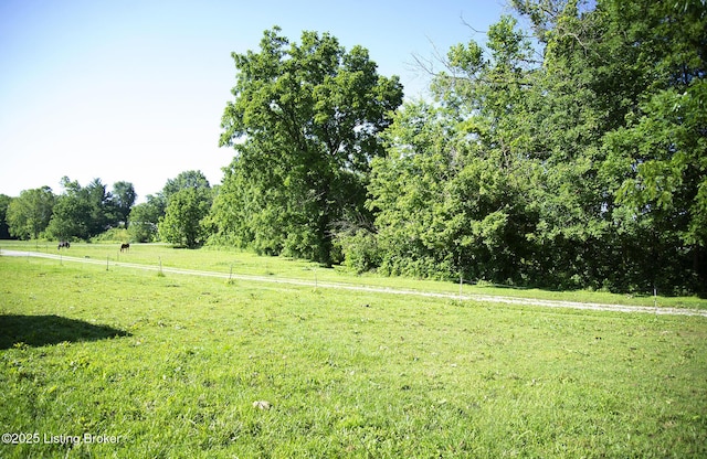 view of yard featuring a rural view