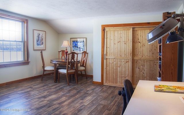 interior space featuring vaulted ceiling, dark hardwood / wood-style floors, and a textured ceiling