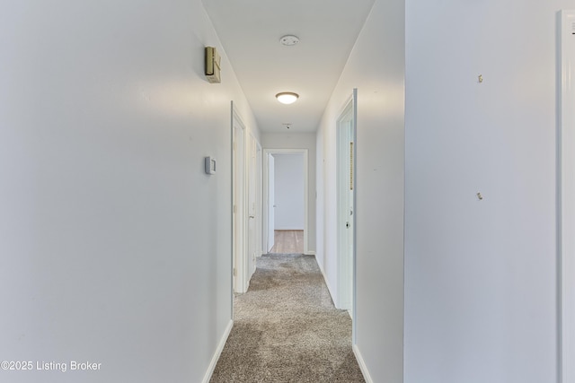 hallway with light carpet