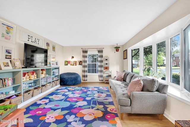 living room with wood-type flooring and a wealth of natural light