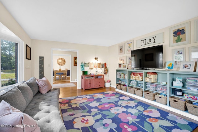 game room featuring hardwood / wood-style flooring