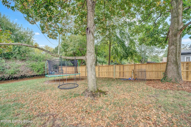 view of yard with a trampoline