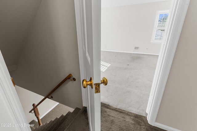 stairway with carpet floors