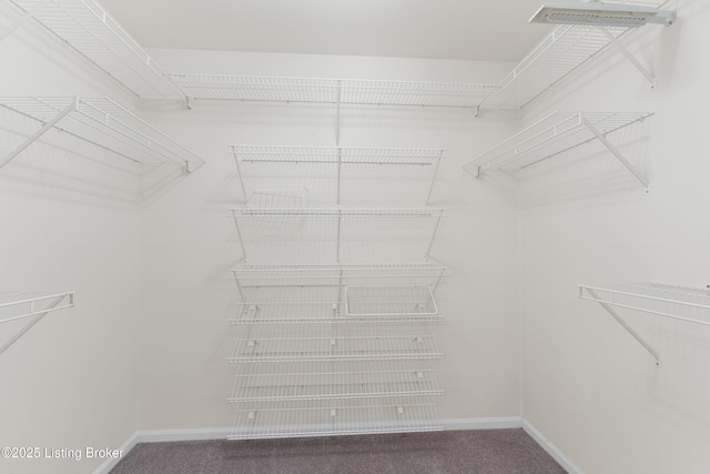 walk in closet with carpet