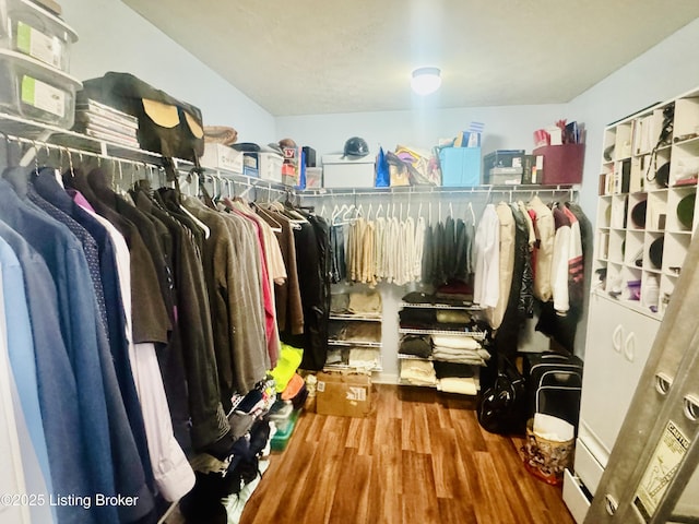 walk in closet with wood-type flooring