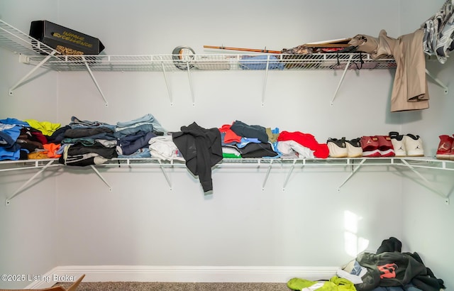 walk in closet featuring carpet flooring