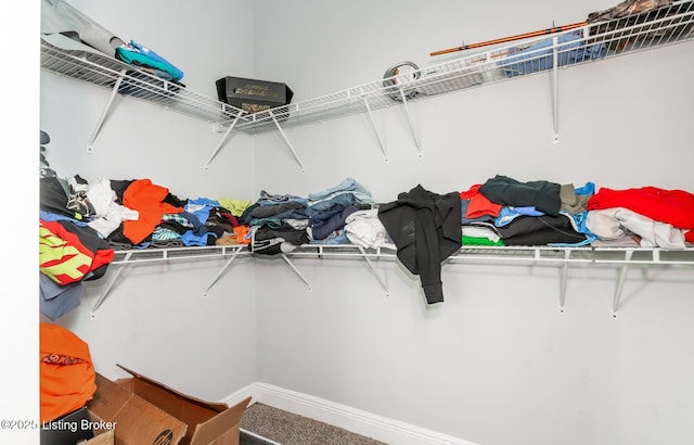 spacious closet with carpet