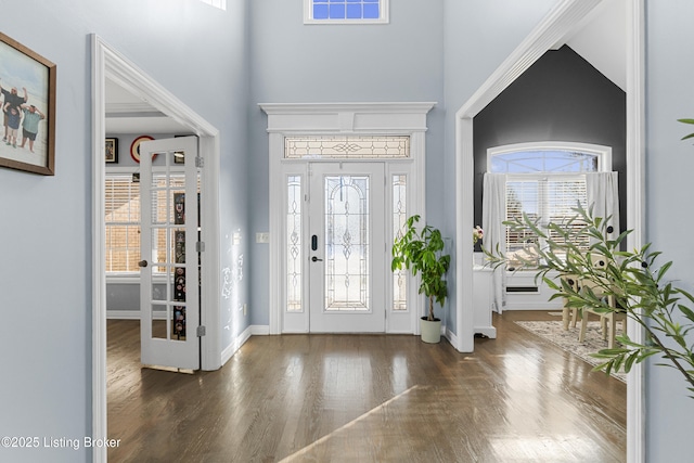 foyer featuring plenty of natural light, dark hardwood / wood-style flooring, and a towering ceiling