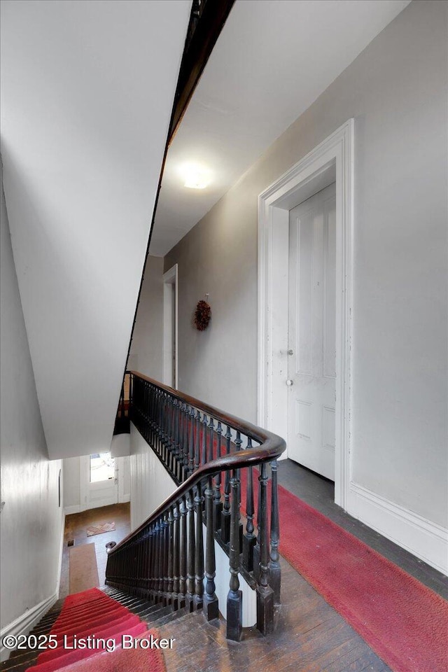 staircase featuring wood-type flooring