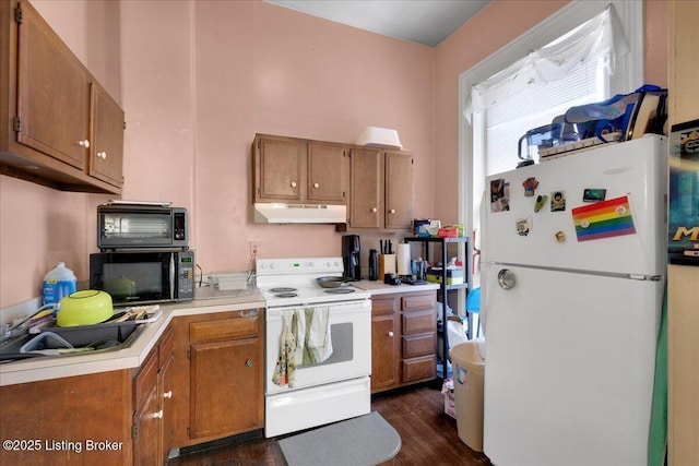 kitchen featuring dark hardwood / wood-style flooring, sink, and white appliances