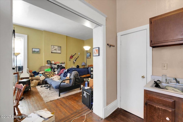 interior space featuring hardwood / wood-style floors and sink