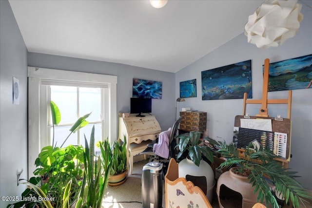 miscellaneous room with lofted ceiling