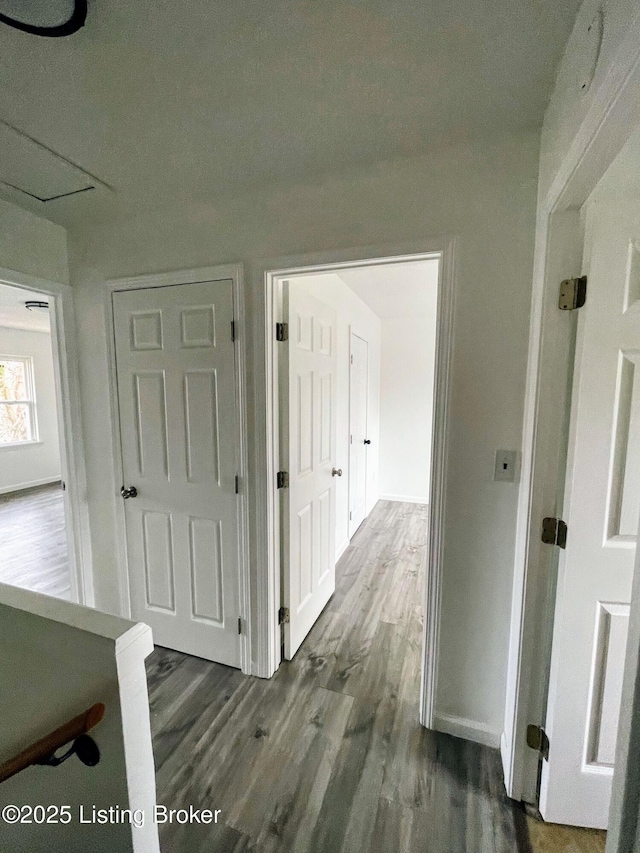 hallway featuring dark hardwood / wood-style floors