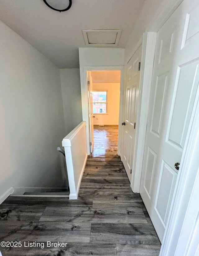 hallway with dark hardwood / wood-style floors