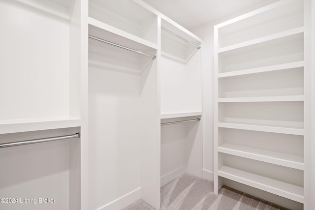 walk in closet with light colored carpet