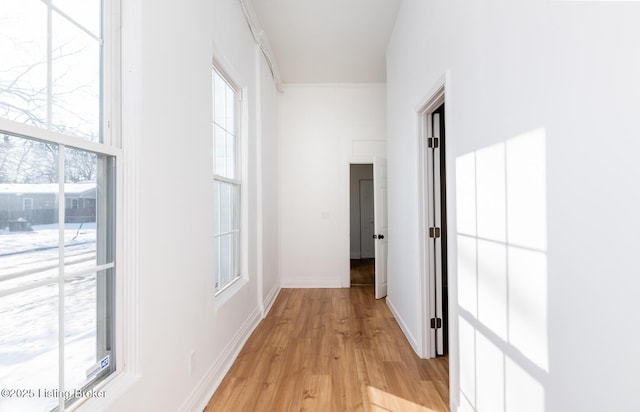 hall with light hardwood / wood-style flooring and ornamental molding