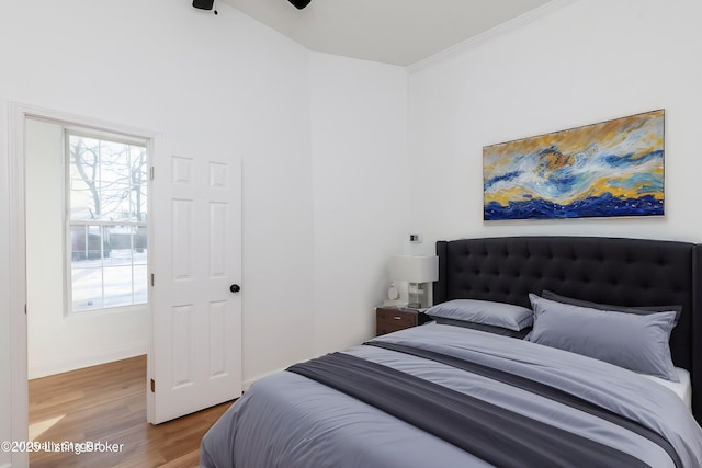 bedroom featuring wood-type flooring